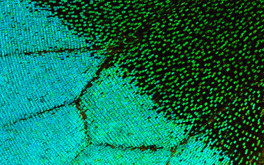 474666 (a): :1920x1200